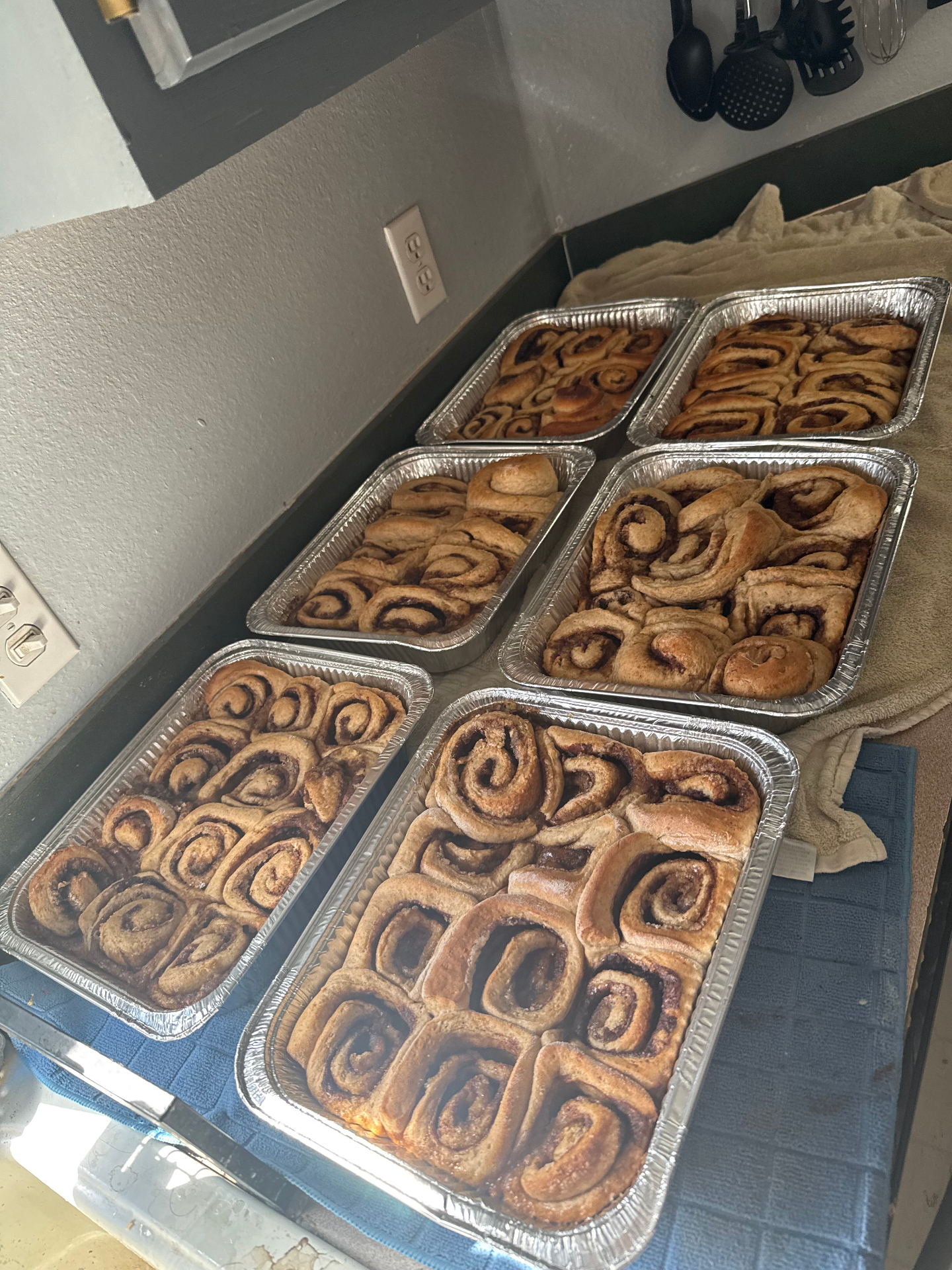 Six pans of fresh cinnamon rolls cooling on the counter